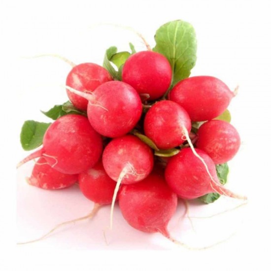 Fındık Turp (Baby)